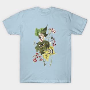 John James Audubon Black & Yellow Warblers T-Shirt